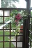 View 03