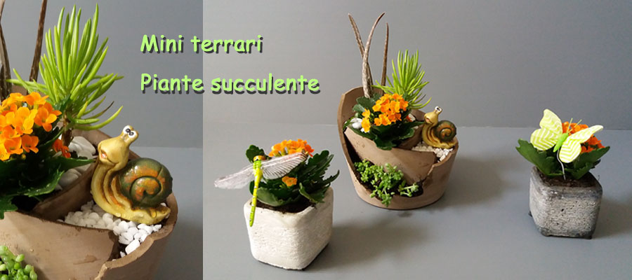 Mini terrari piante succulente