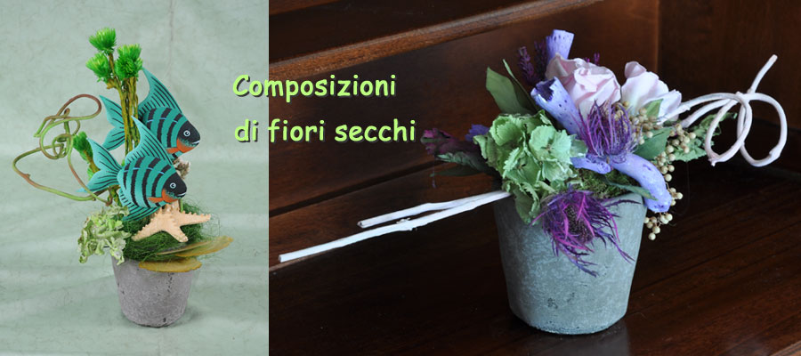 Composizioni di fiori secchi