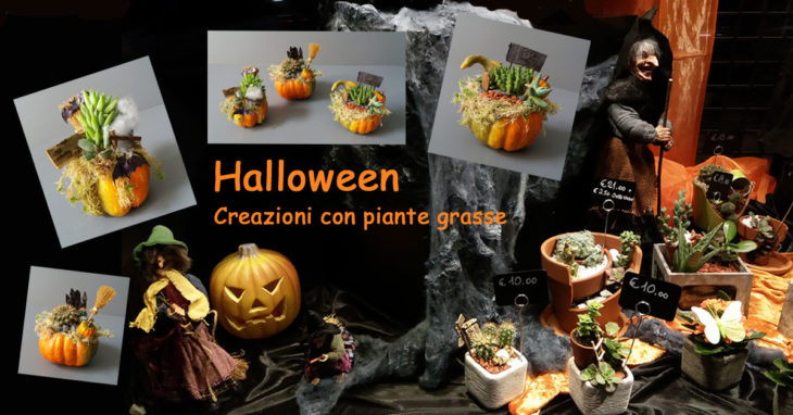 Festeggia Halloween con le zucche di piante grasse Milano