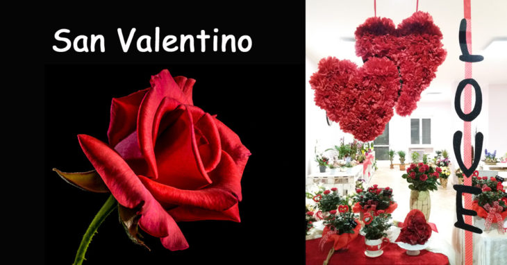 San Valentino da Arte Floreale Fiorista Bornate